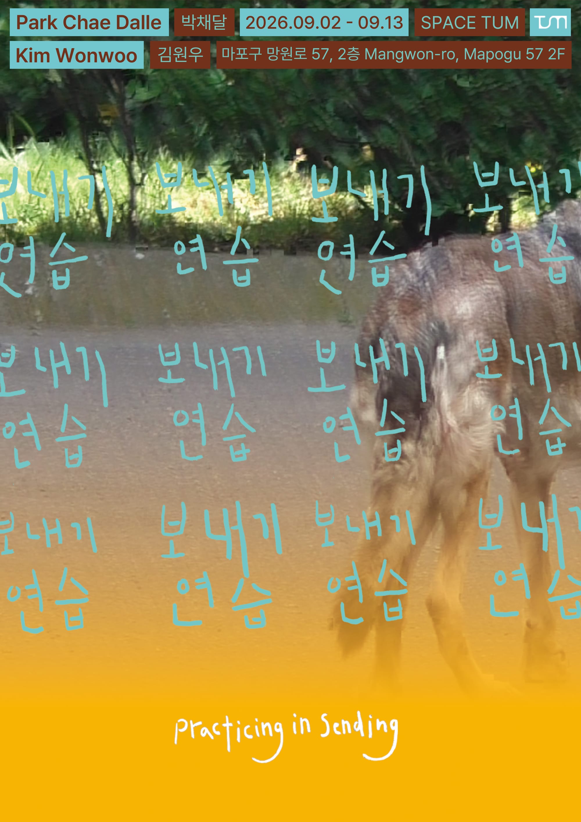 김원우, 박채달 《보내기 연습》